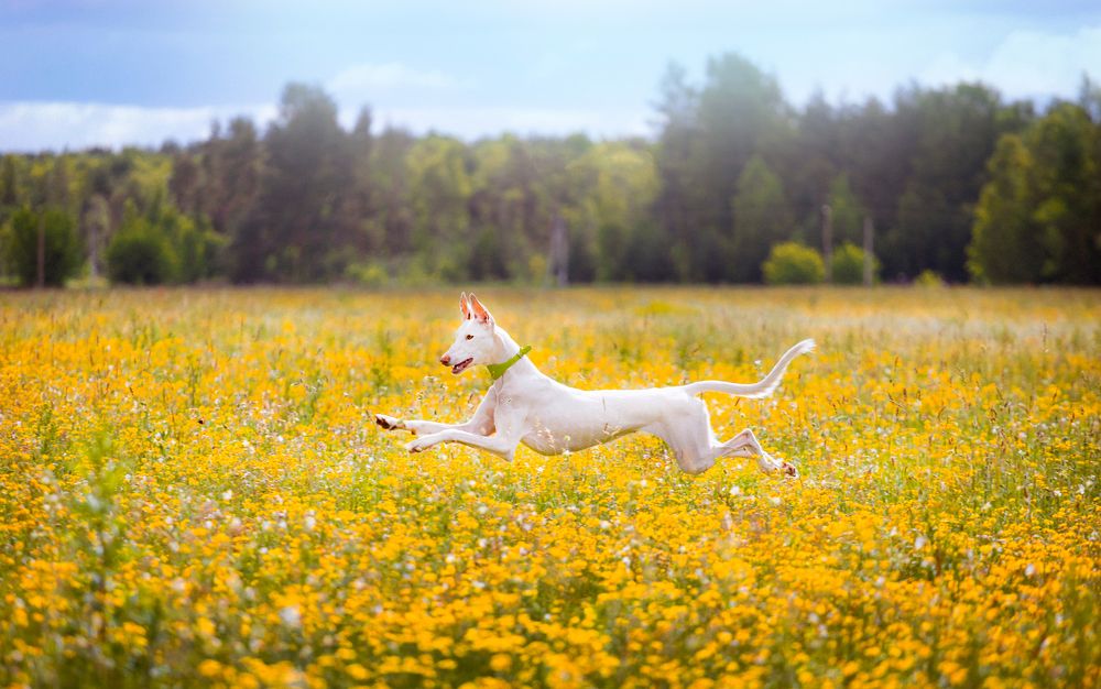 Photograph by Виолетта Бастет