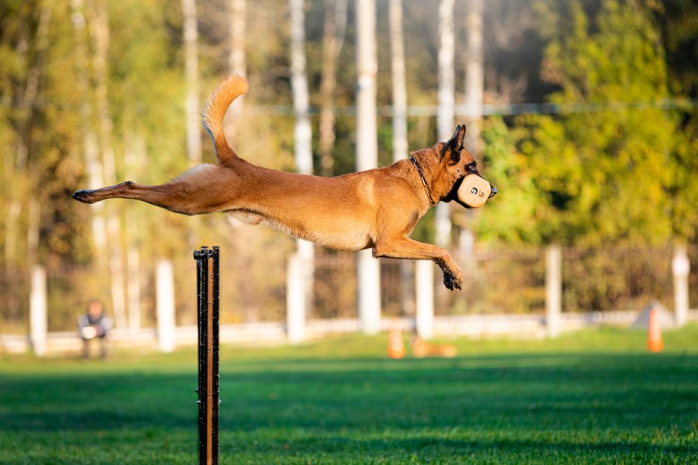 Photograph by Виолетта Бастет