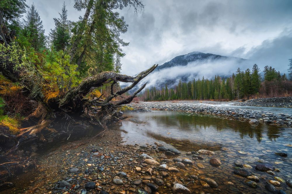 Осеннее утро на таежной реке