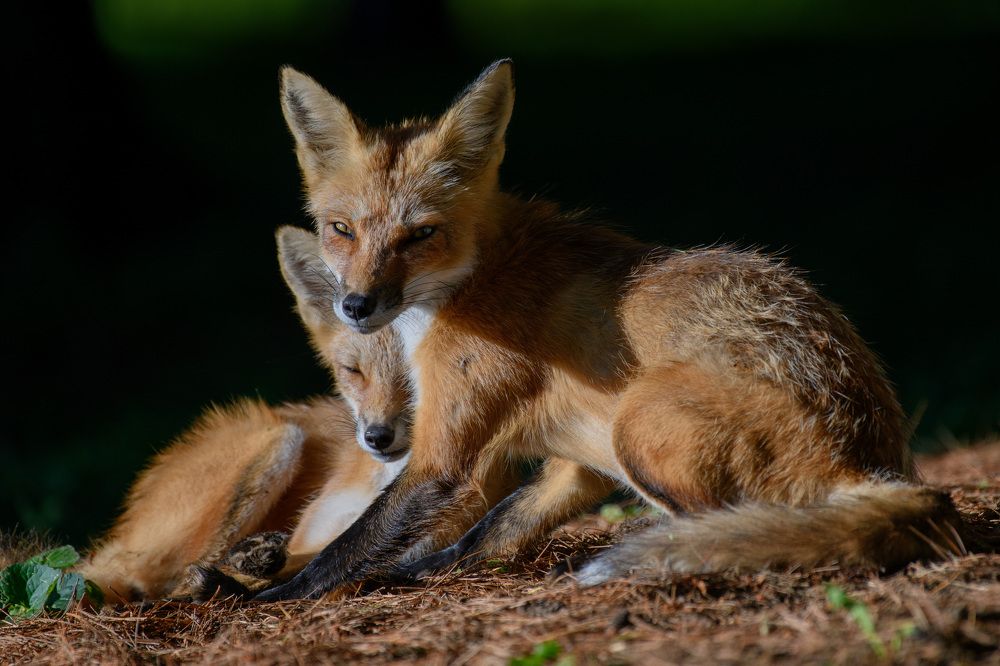 Photograph by Nathalie Talbot