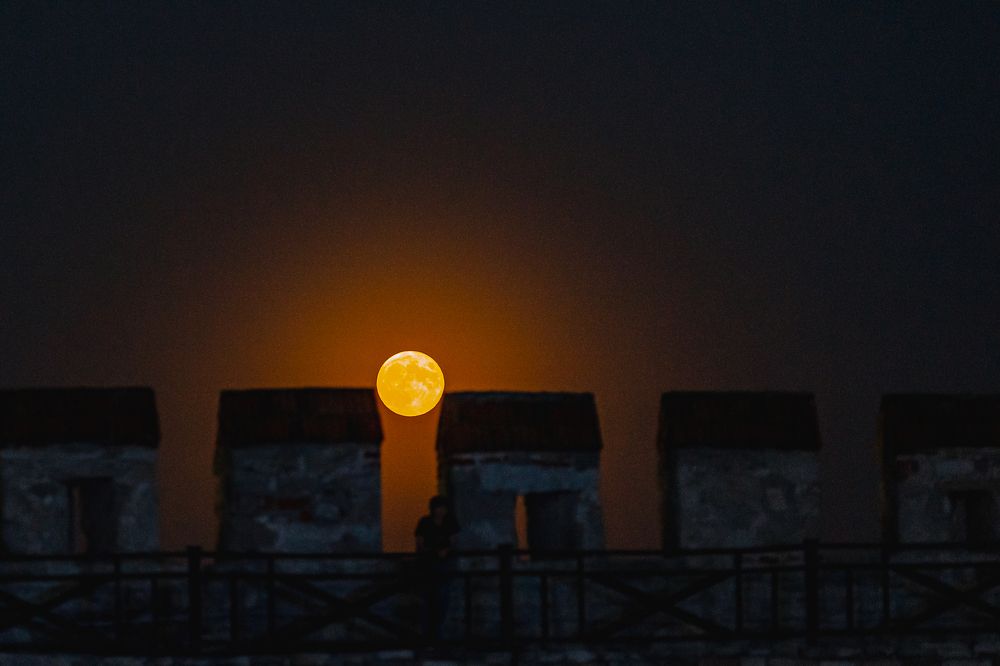 Photograph by Ирина Регульская