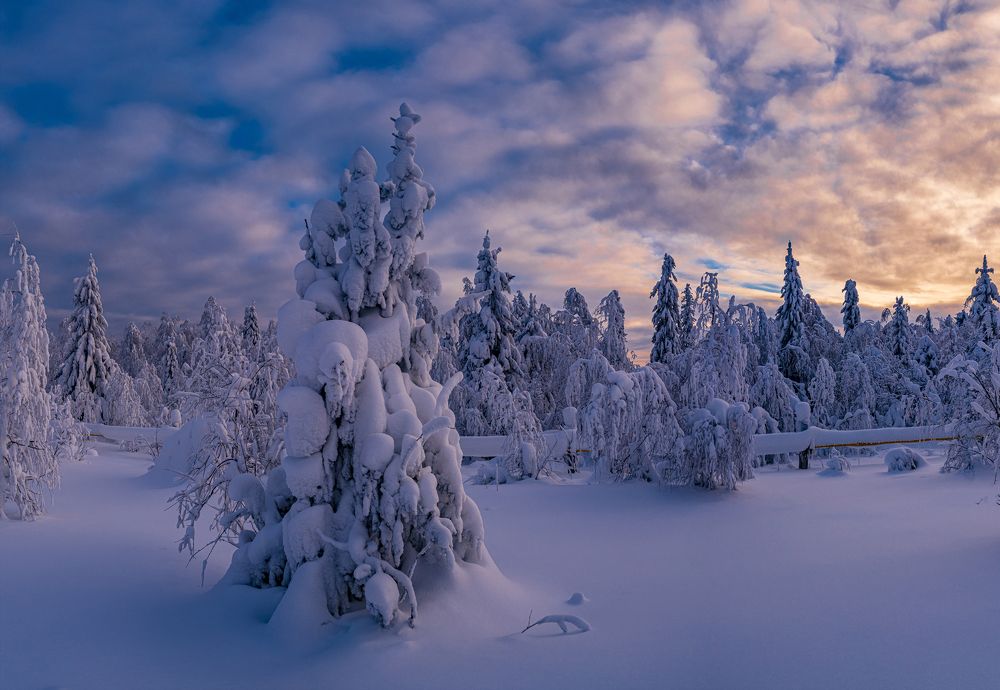 Photograph by Евгений Кармаев