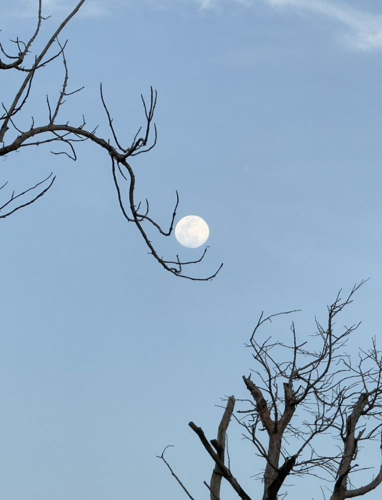 Фотография автора ГУЗАЛИЯ ГАНИЕВА