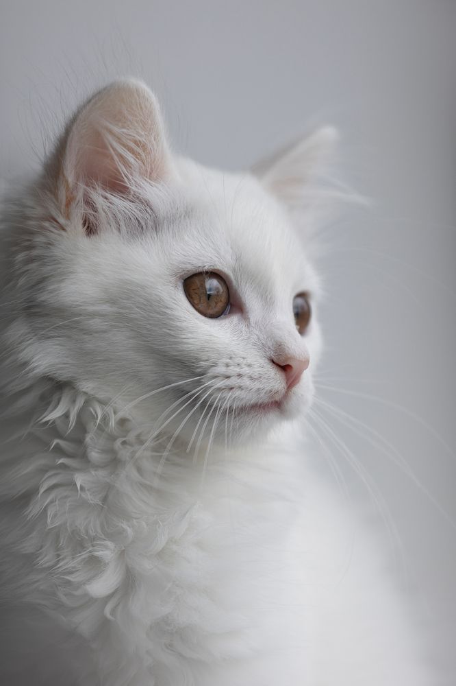 Фотография автора Наталия