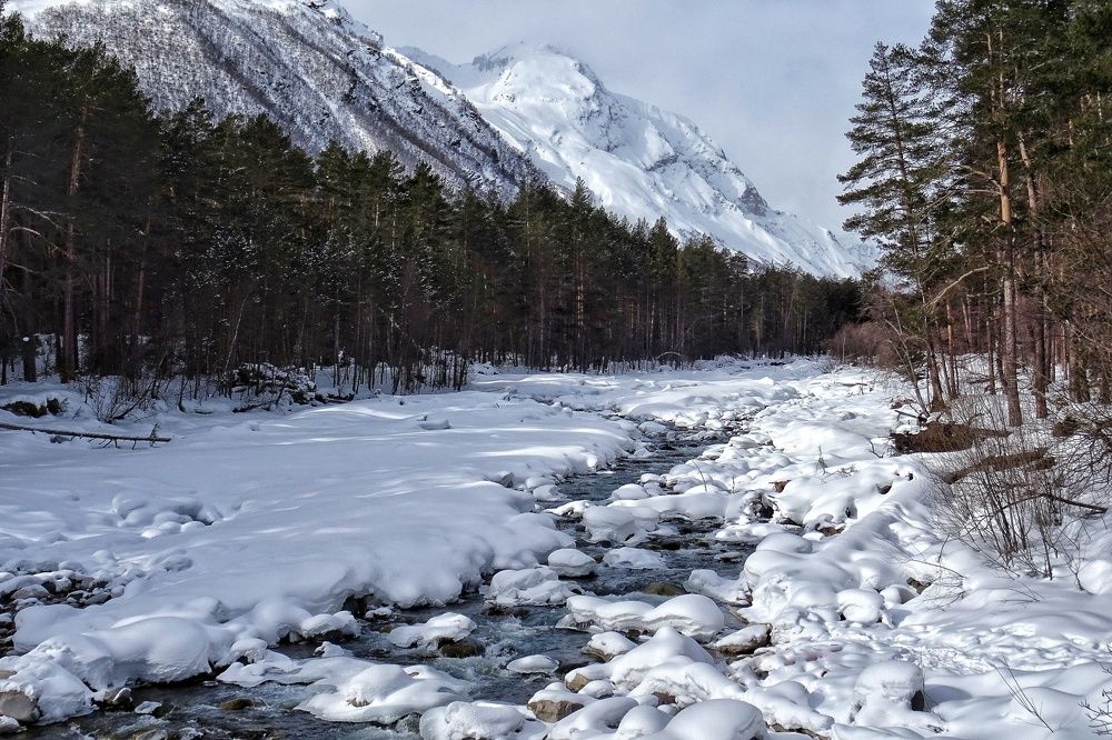 Photograph by Юлия Поликарпова