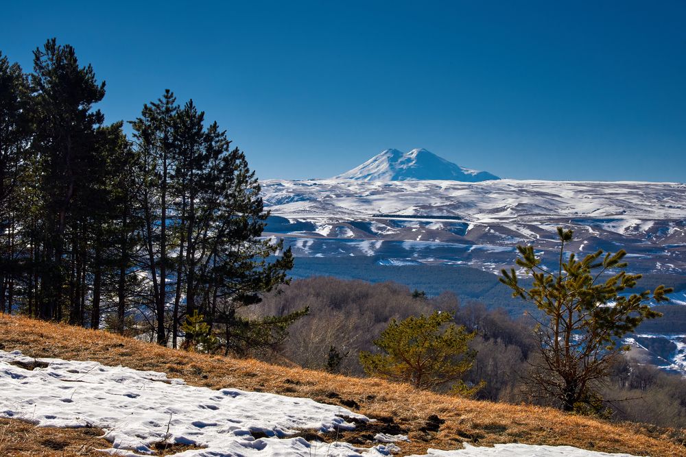 Photograph by Владимир Греков
