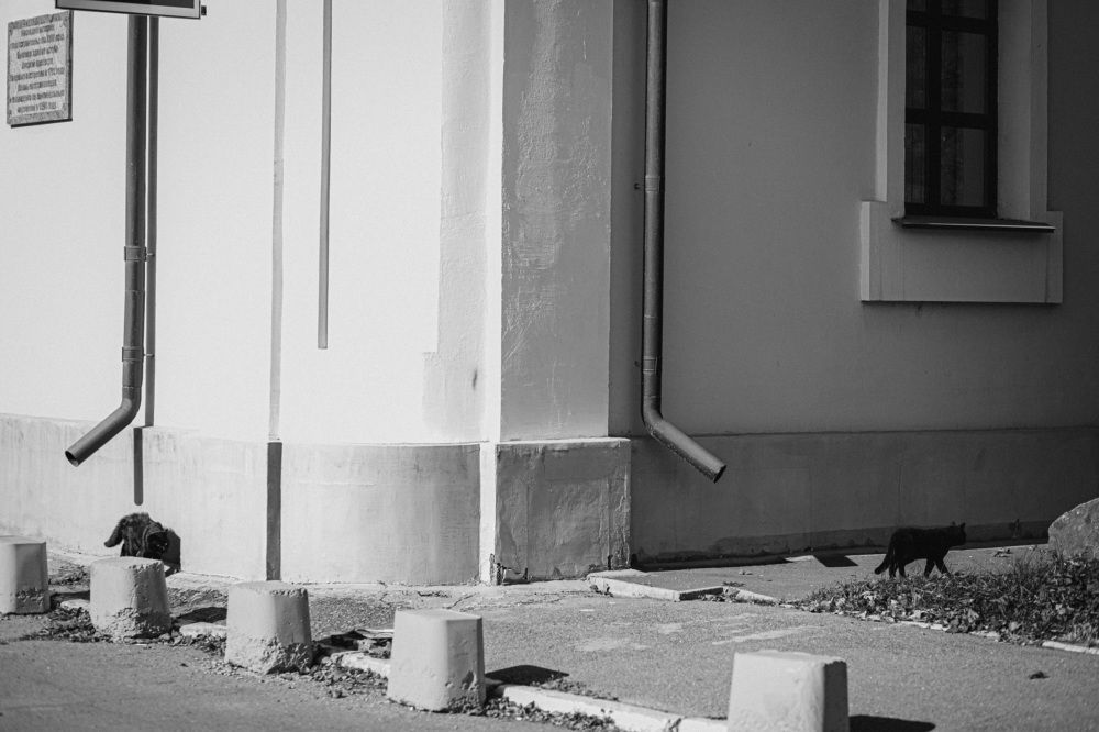 Photograph by Светлана Голик