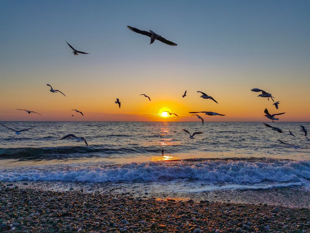 Photograph by Елена Юркова