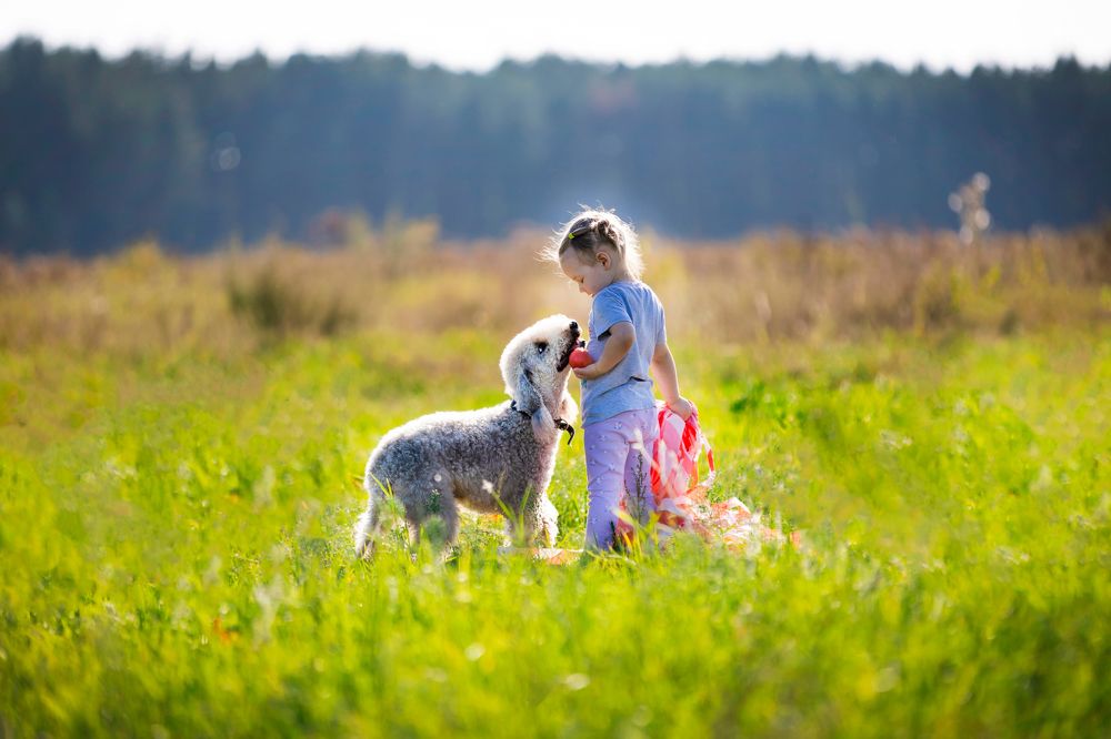 Photograph by Виолетта Бастет