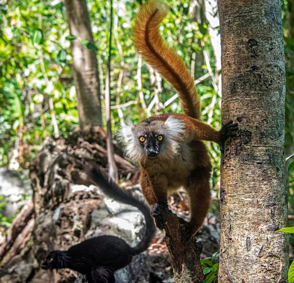 Фотография автора Subir Ghosh