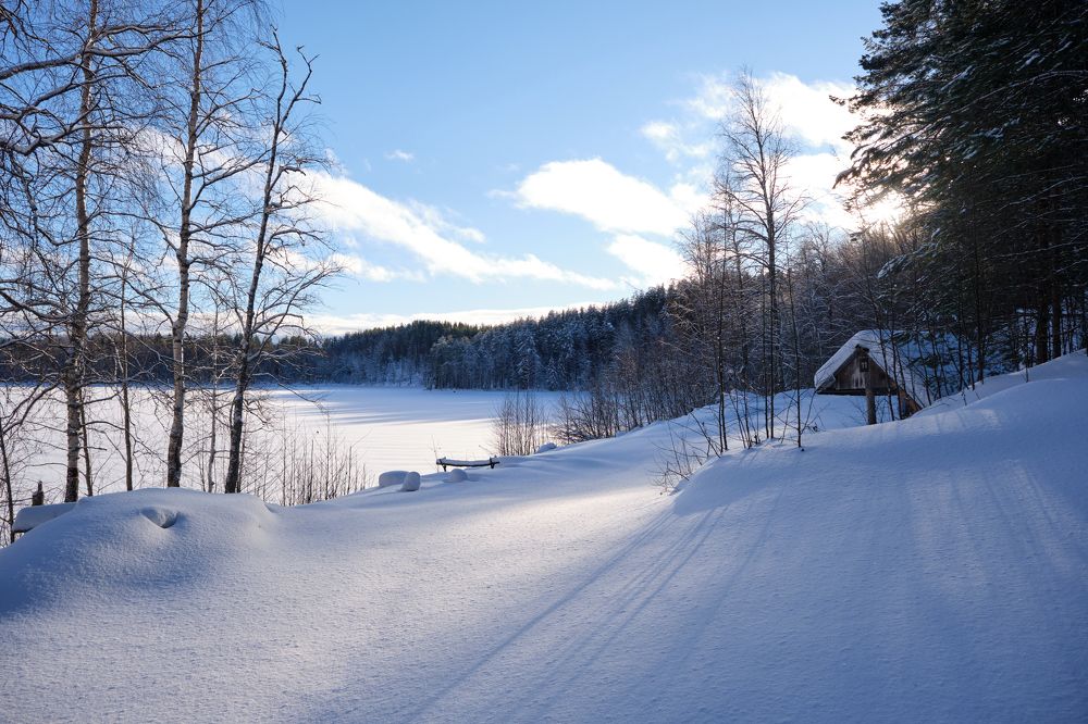 Замело беседку