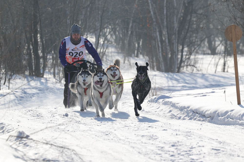 Photograph by Ольга Колобова