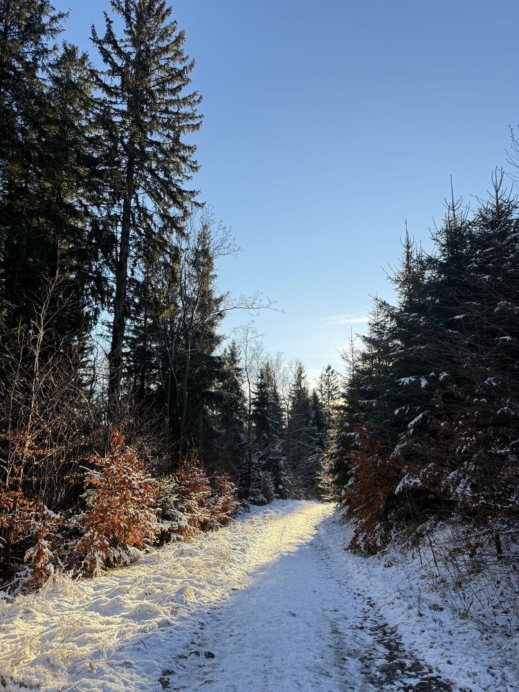 Photograph by Yana Ofitserova