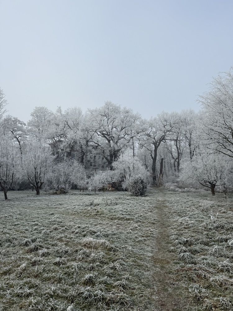 Photograph by Yana Ofitserova