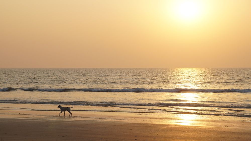 Photograph by Вадим Богатиков