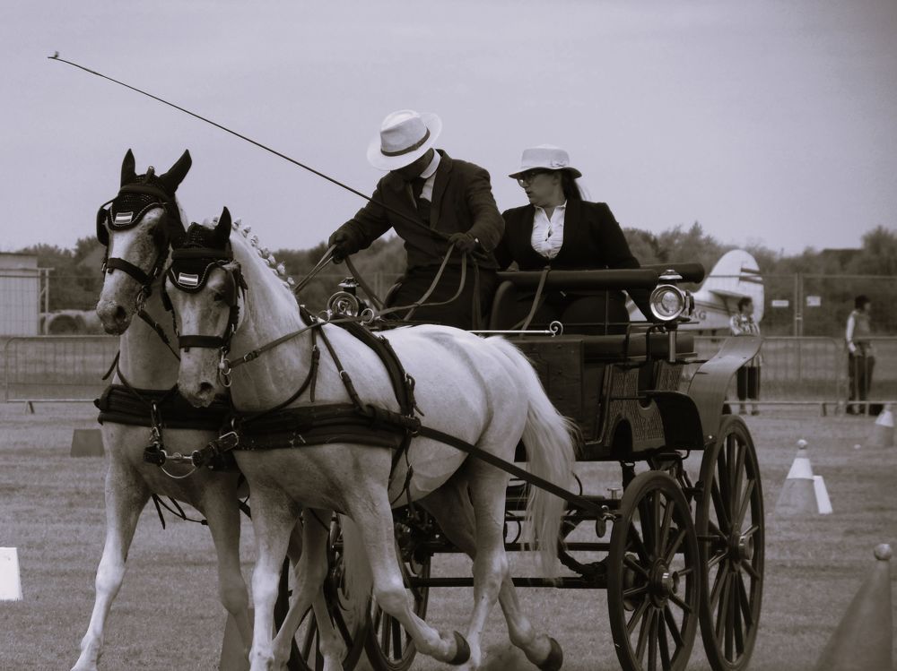 Photograph by Anna Veľasová