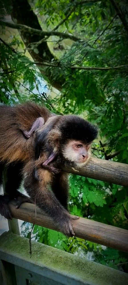 Photograph by Gr Marie