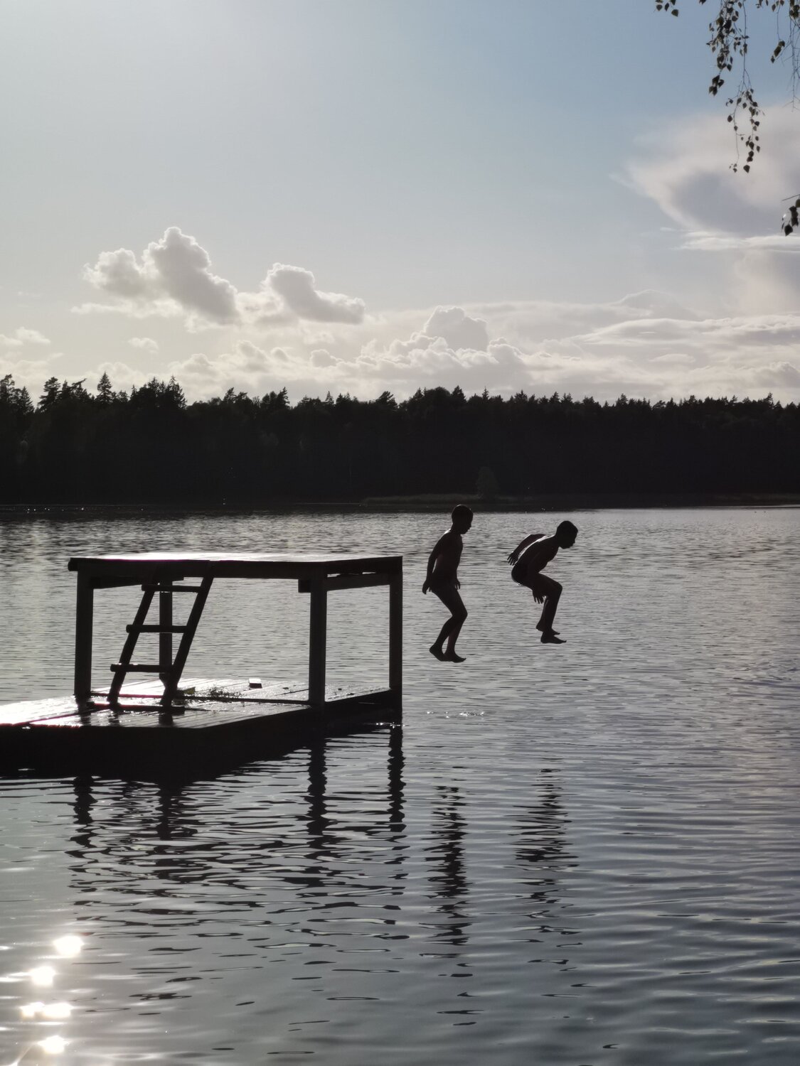 Photo #11740462