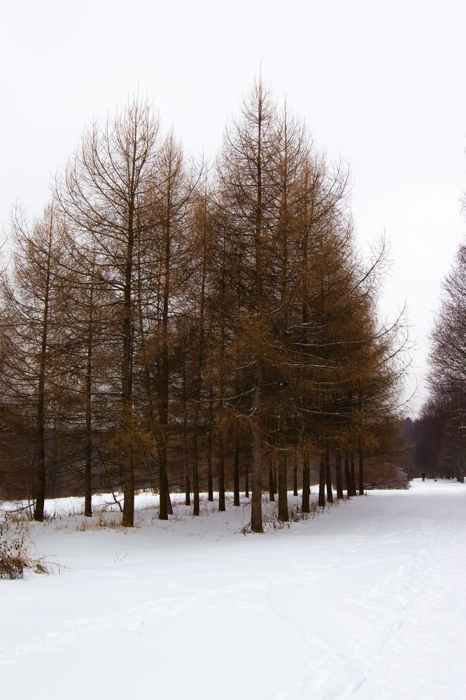 Photograph by Пискарев Александр