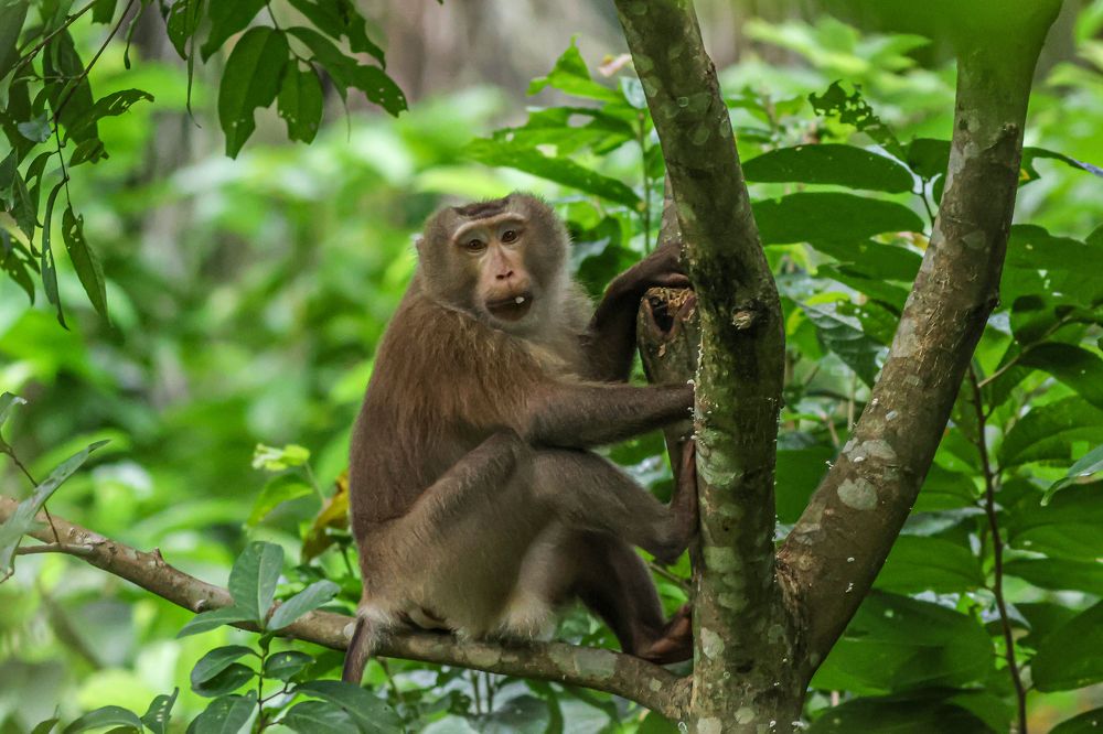 Photograph by Mohammad Hasan