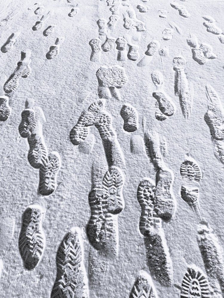 Photograph by Nikita Zorin