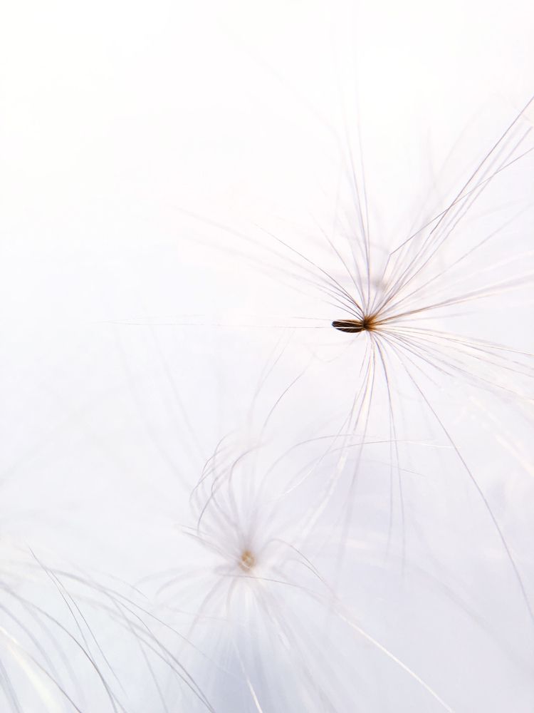 Photograph by Евстратова Оксана