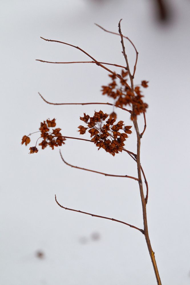 Photograph by Пискарев Александр