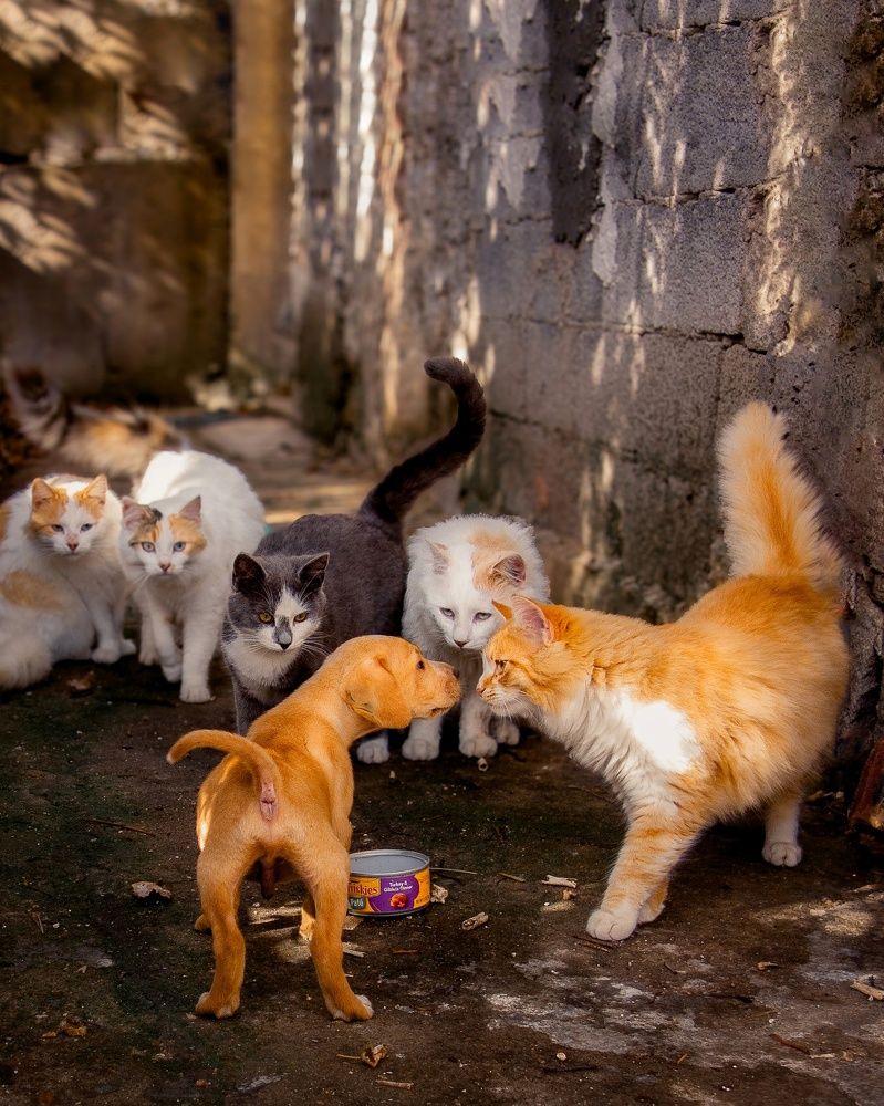 Photograph by Alexandra Sergeeva