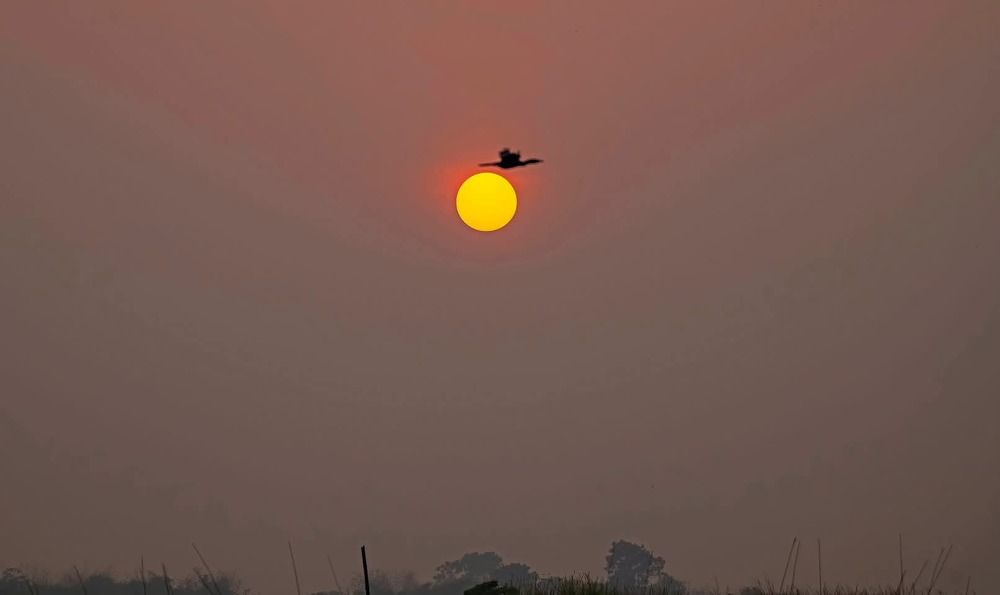 Фотография автора Subir Ghosh