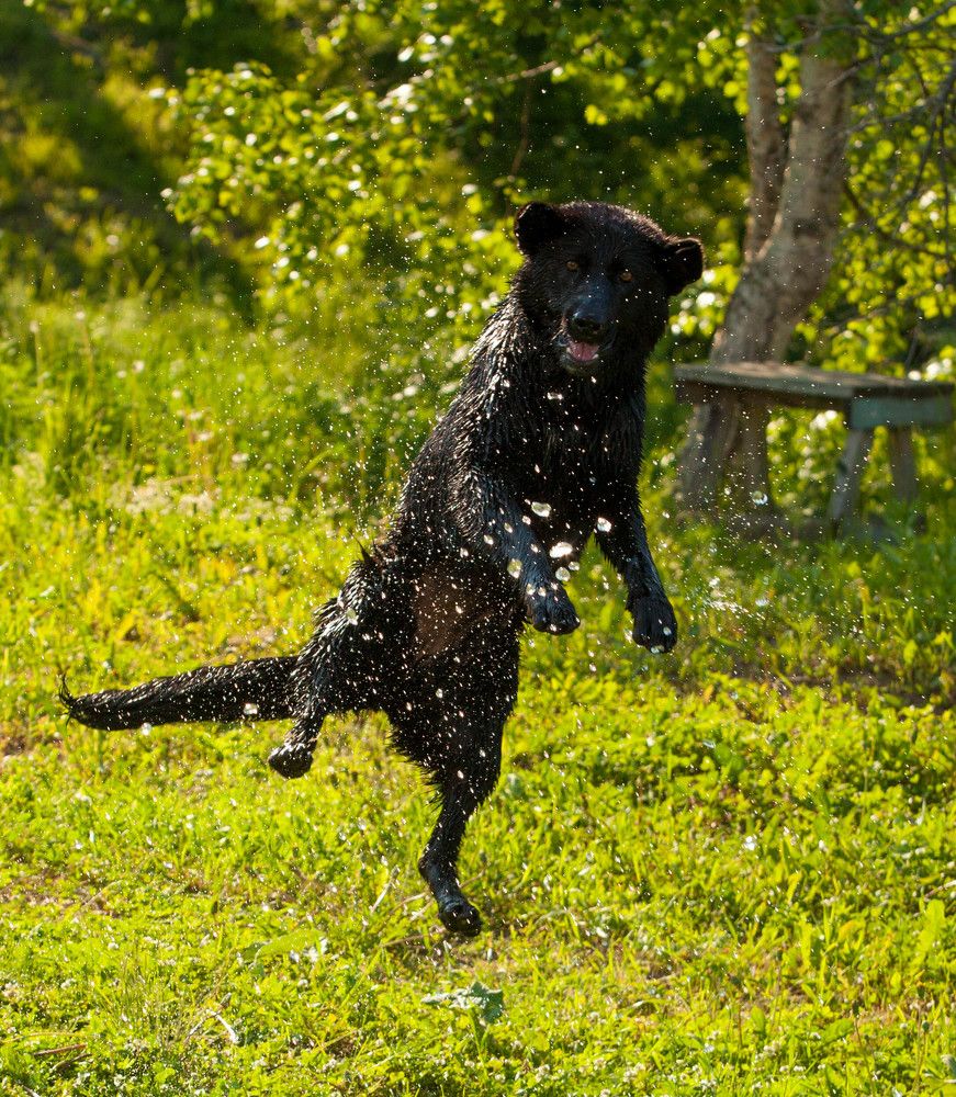 Photograph by Артём