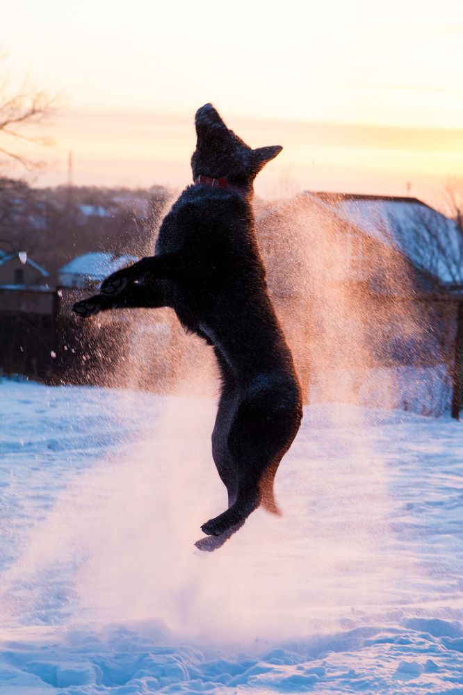 Photograph by Артём