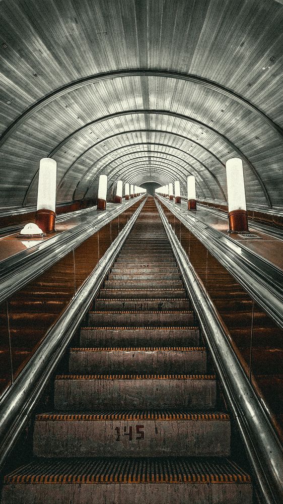 Photograph by ANASTASIYA NIKOLSKAYA