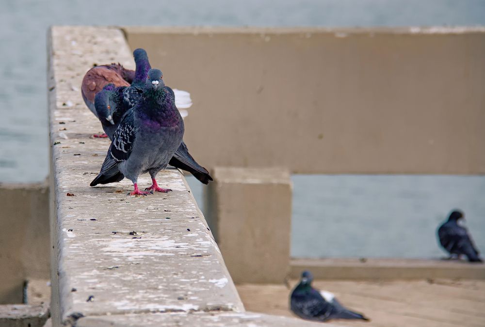 Photograph by Илья