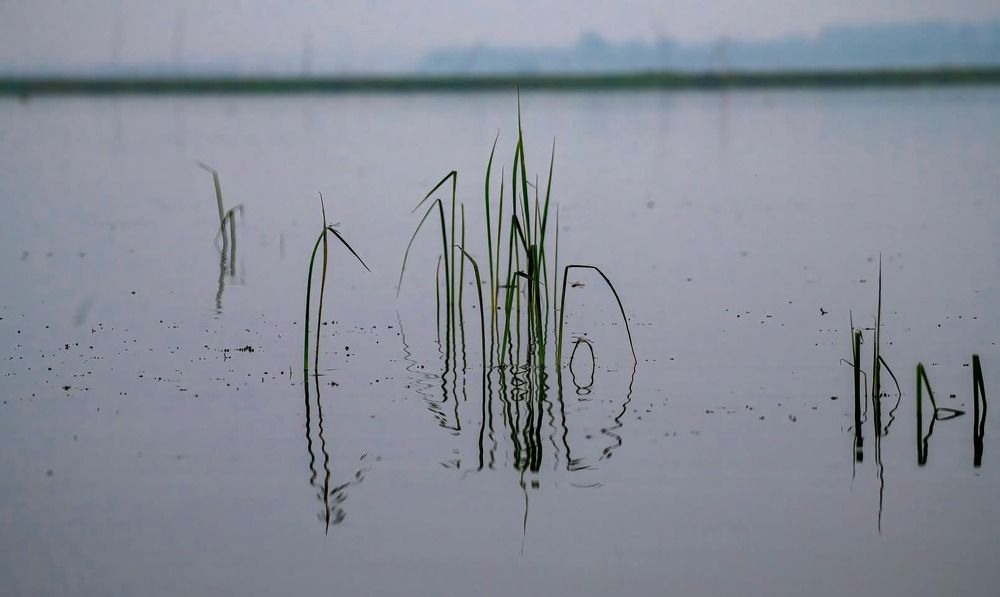 Фотография автора Subir Ghosh