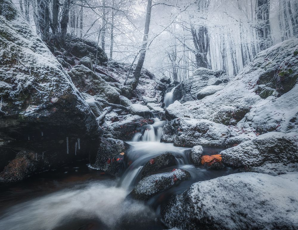 Photograph by Александър Александров