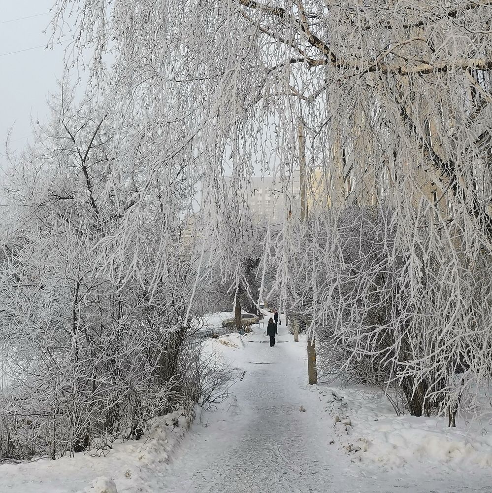 Фотография автора Игорь Винокуров