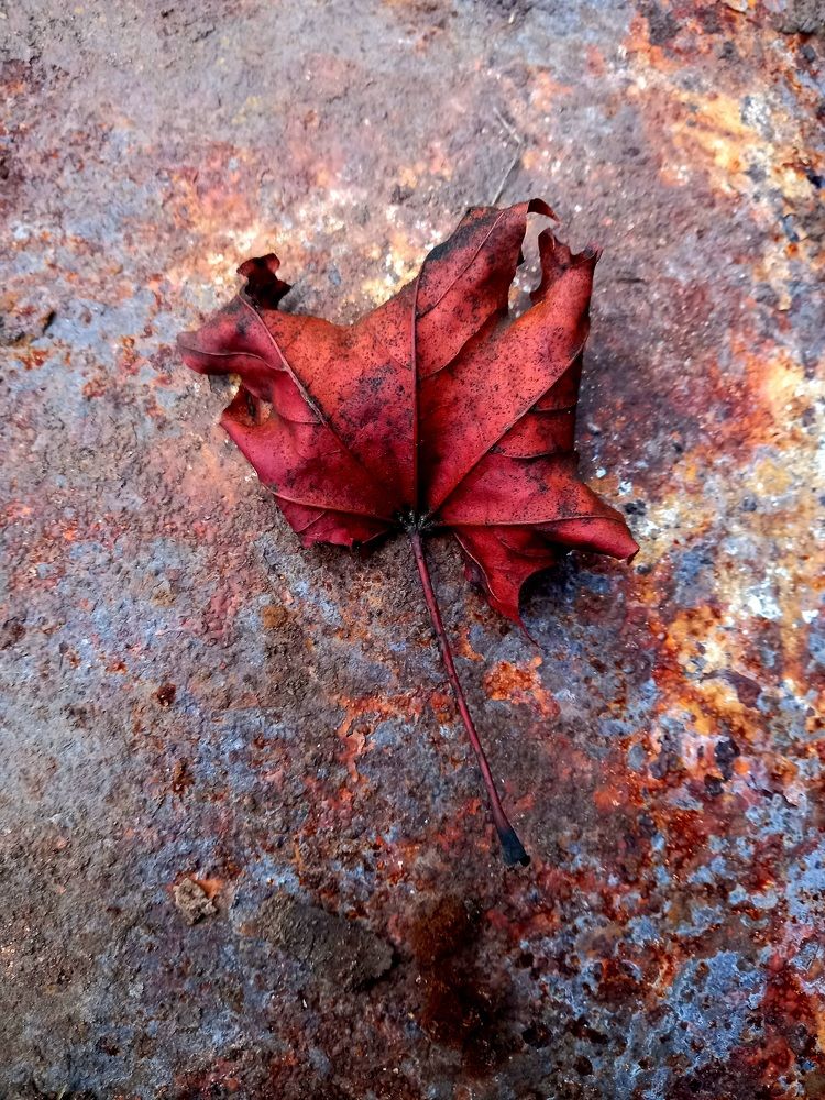 Photograph by Анна Александрова