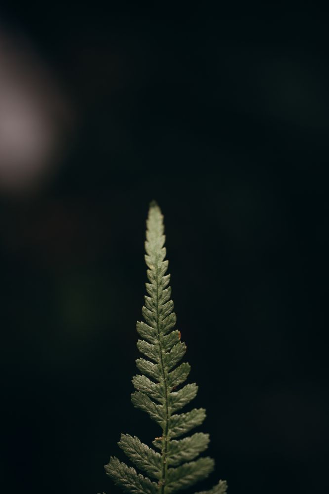 Photograph by Татьяна Тюрина