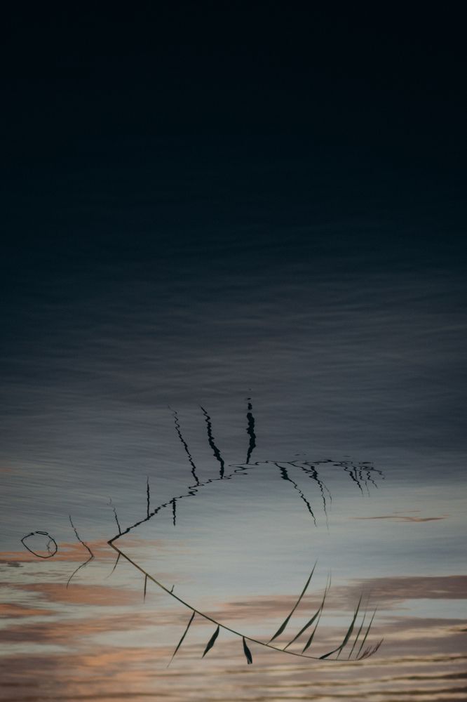 Photograph by Татьяна Тюрина