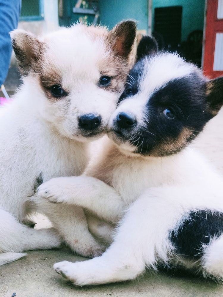 Photo #11740652
