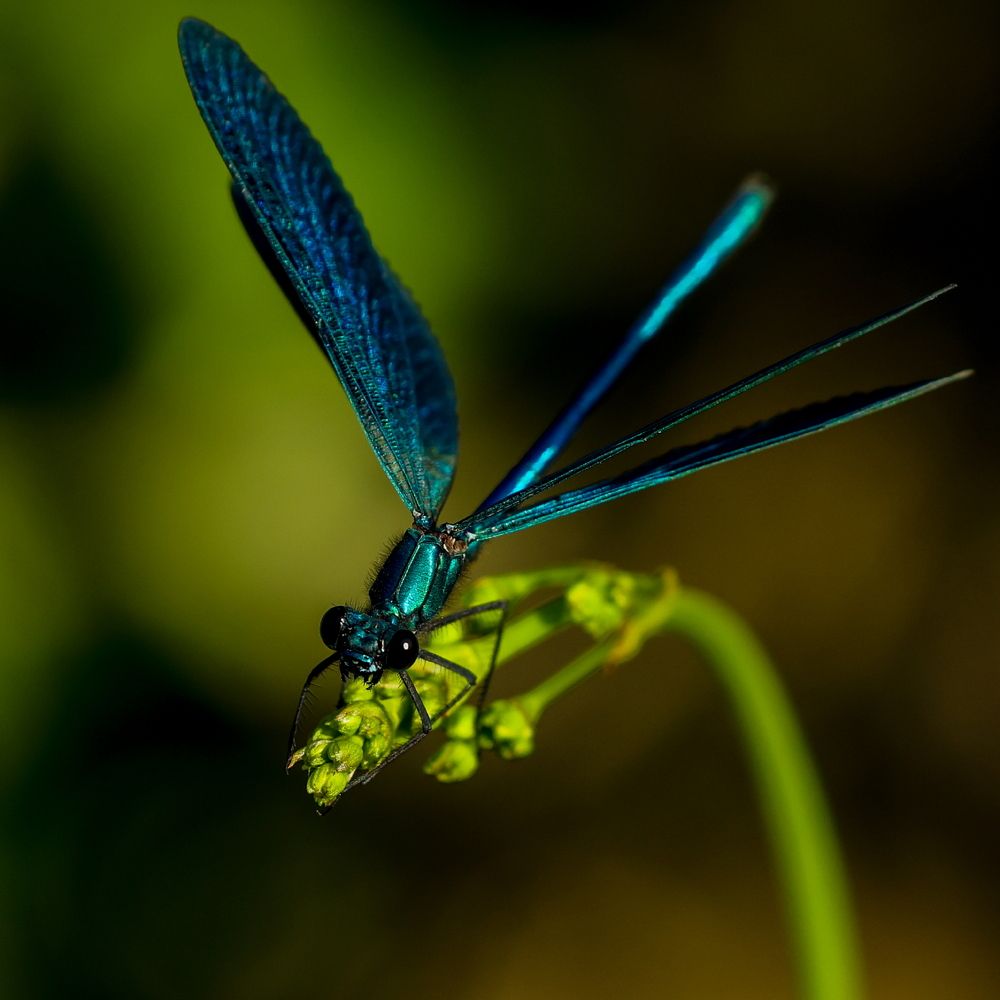 Photograph by Борис Лишневский