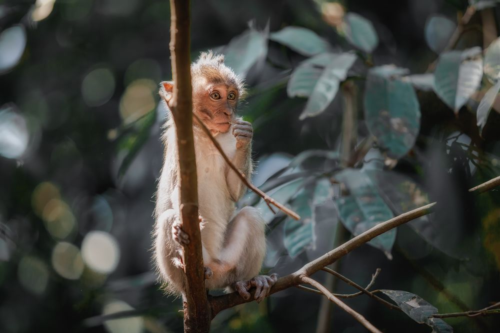 Photograph by Антон Садомов