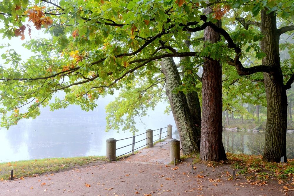 Photograph by Novikov Mikhail