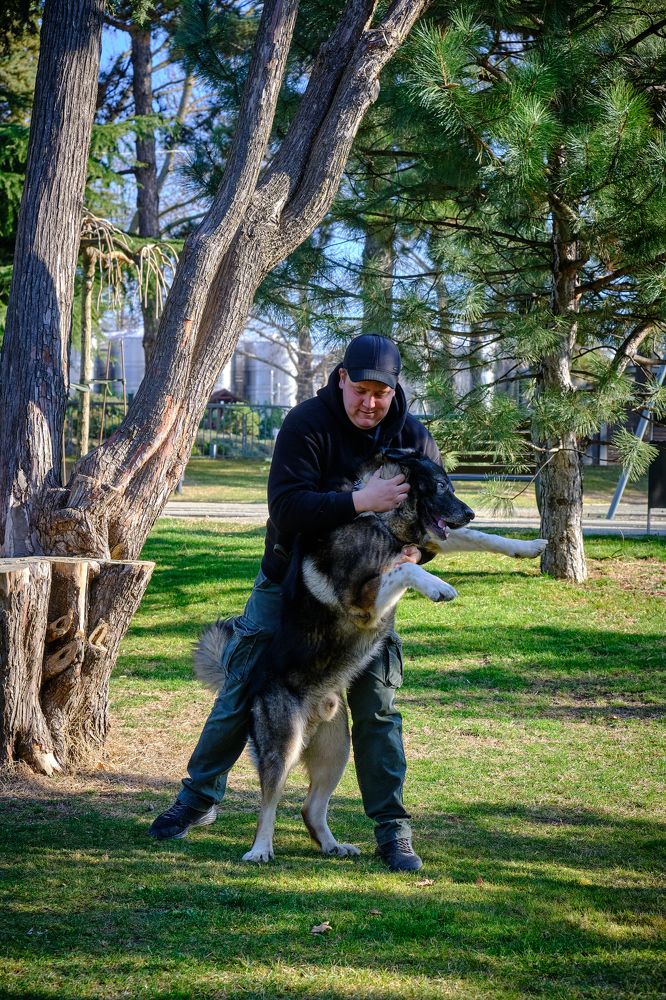 Photograph by Станислав Дроздов