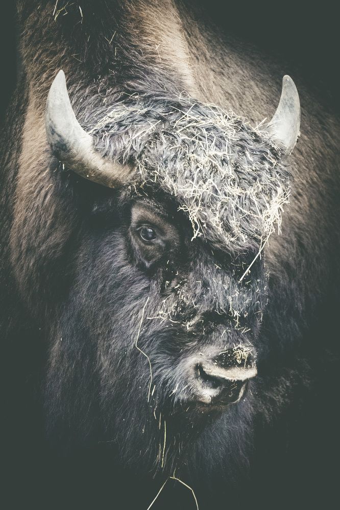 Photograph by Piotr Cichowski