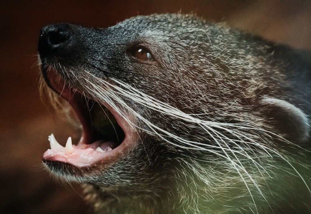 Photograph by Piotr Cichowski