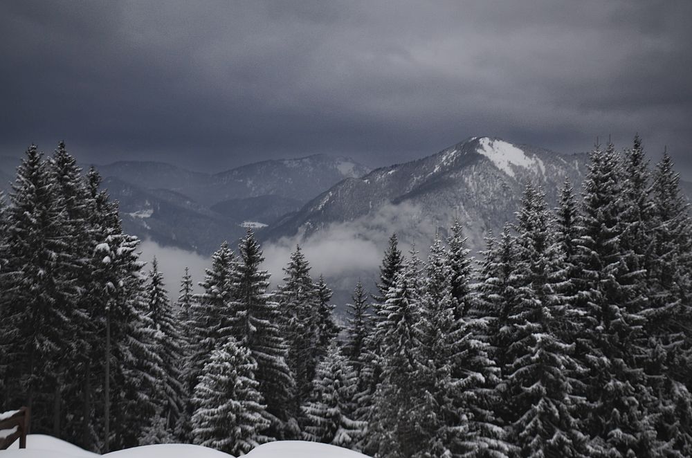 Фотография автора Андрей Неденко