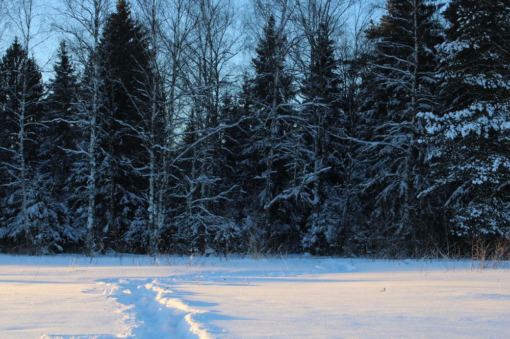 Photograph by Анна