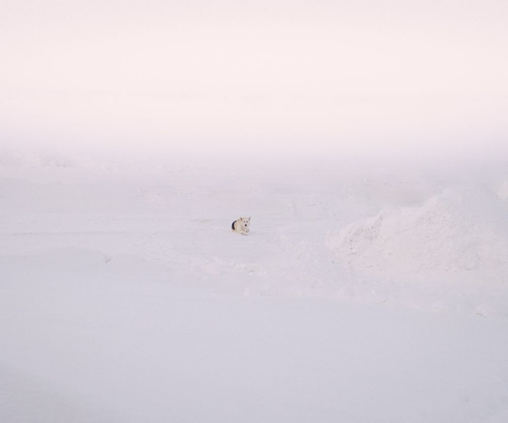 Photograph by Denis Trushtin