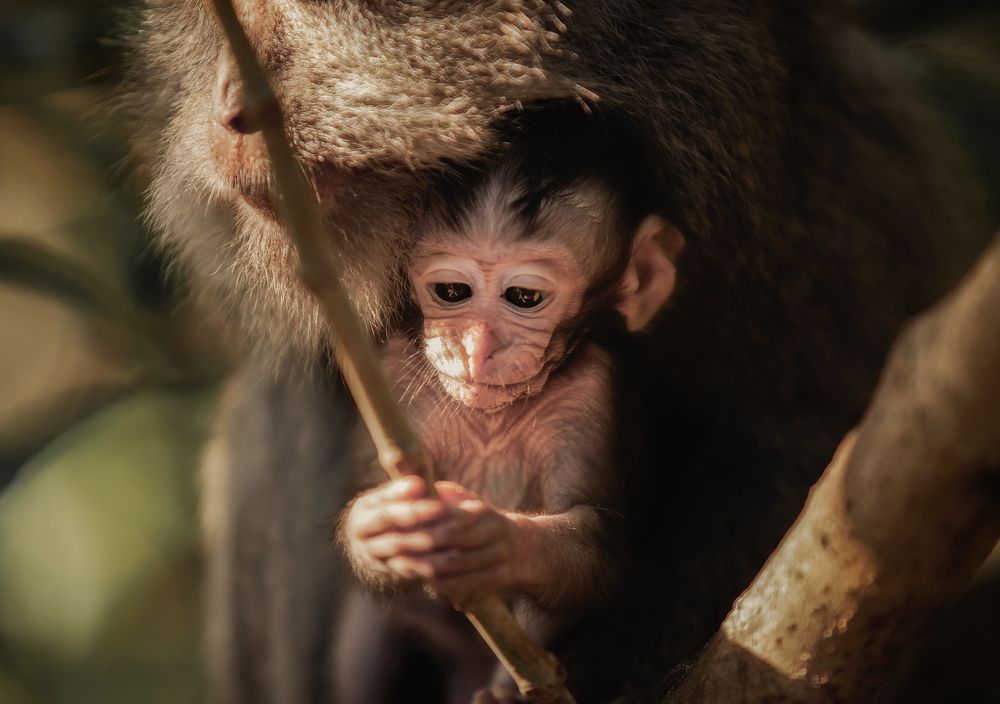 Photograph by Антон Садомов